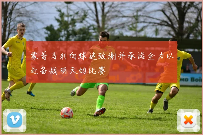 蒙哥马利向球迷致谢并承诺全力以赴备战明天的比赛
